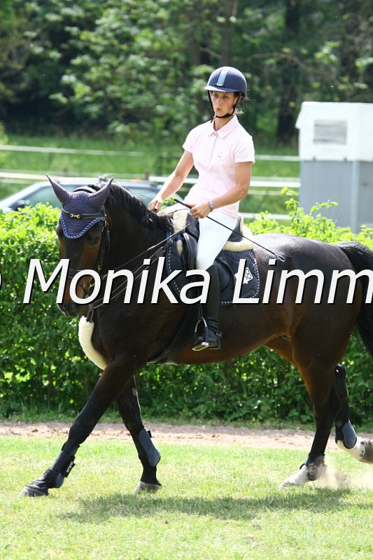 105M0784_Golden Girl_Spring_A.JPG